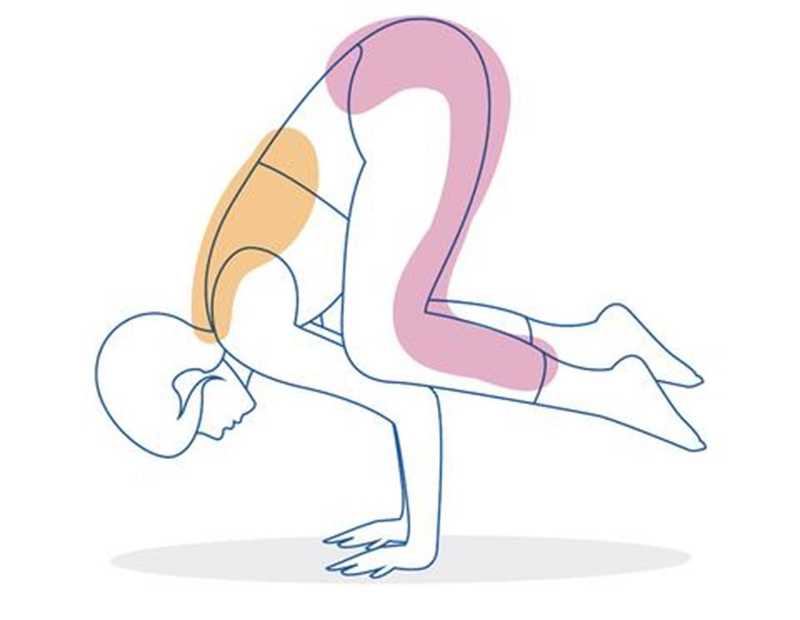 yoga pose 8