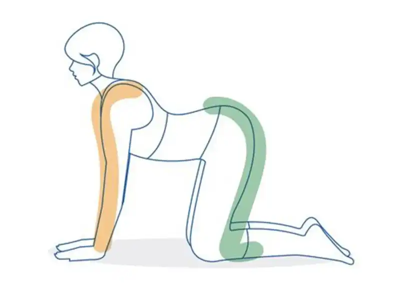 yoga position 2