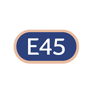 E45